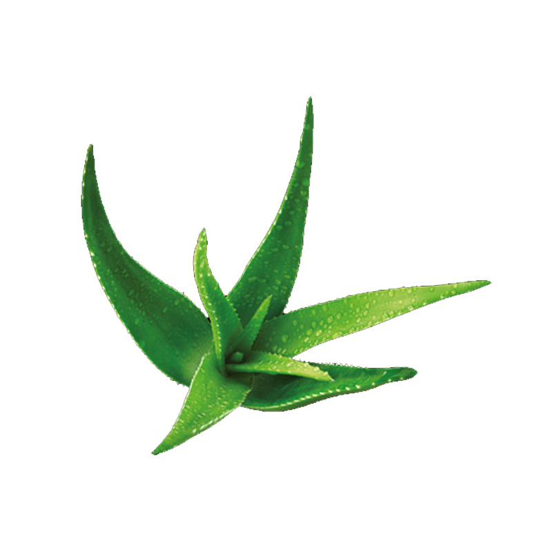 KALODERMA IDRATA Crema Corpo Fluida pelle normale e secca 400ml - immagine 3