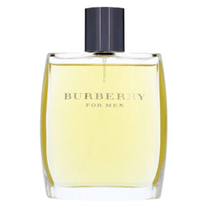"TESTER" BURBERRY FOR MEN edt uomo 100ml NO TAPPO
