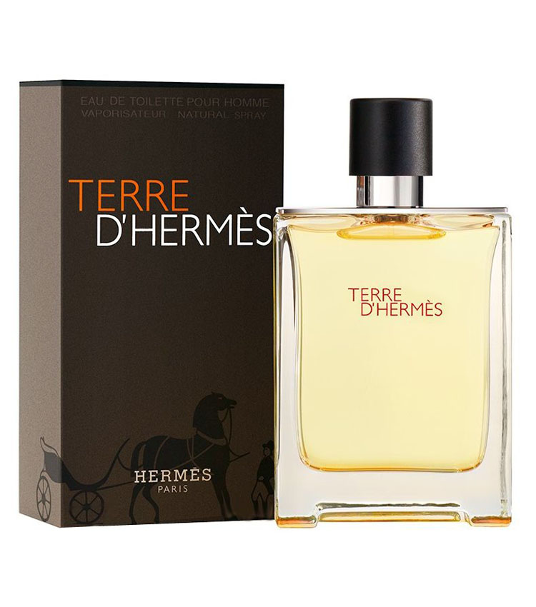 TERRE D'HERMES edt 100ml uomo
