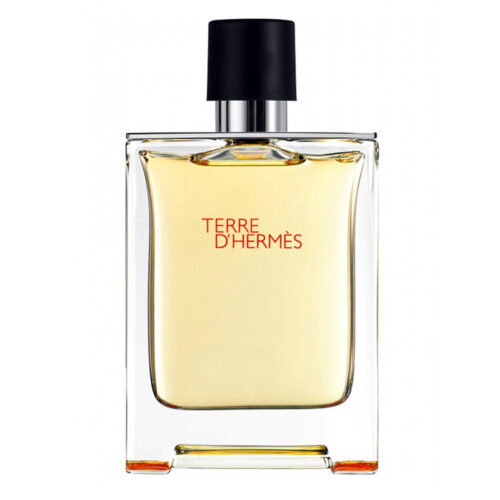 "TESTER" TERRE D'HERMES edt 100ml uomo