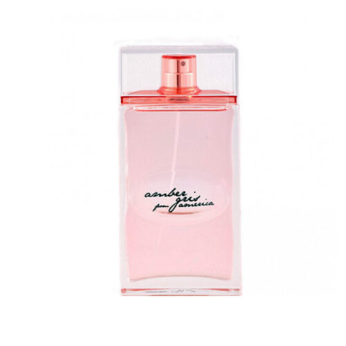 "TESTER" ALVIERO MARTINI 1^ CLASSE WOMAN AMBER GRIS FROM AMERICA edc 100ml donna NO TAPPO