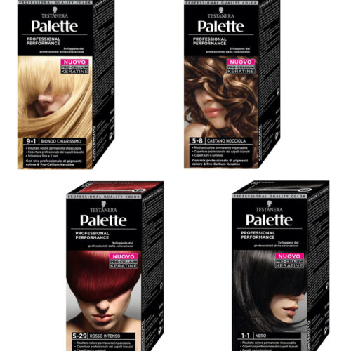TESTANERA PALETTE colore professionale per capelli