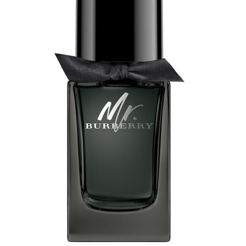 "TESTER" MR. BURBERRY edp 100ml uomo