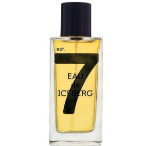 "TESTER" EAU DE ICEBERG OUD edt 100ml uomo NO TAPPO