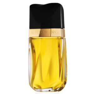 estee lauder knowing