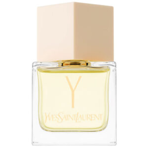 yves saint laurent Y la collection