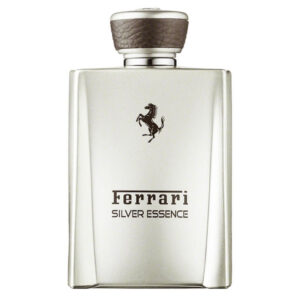 "TESTER" FERRARI SILVER ESSENCE edp uomo 100ml uomo NO TAPPO