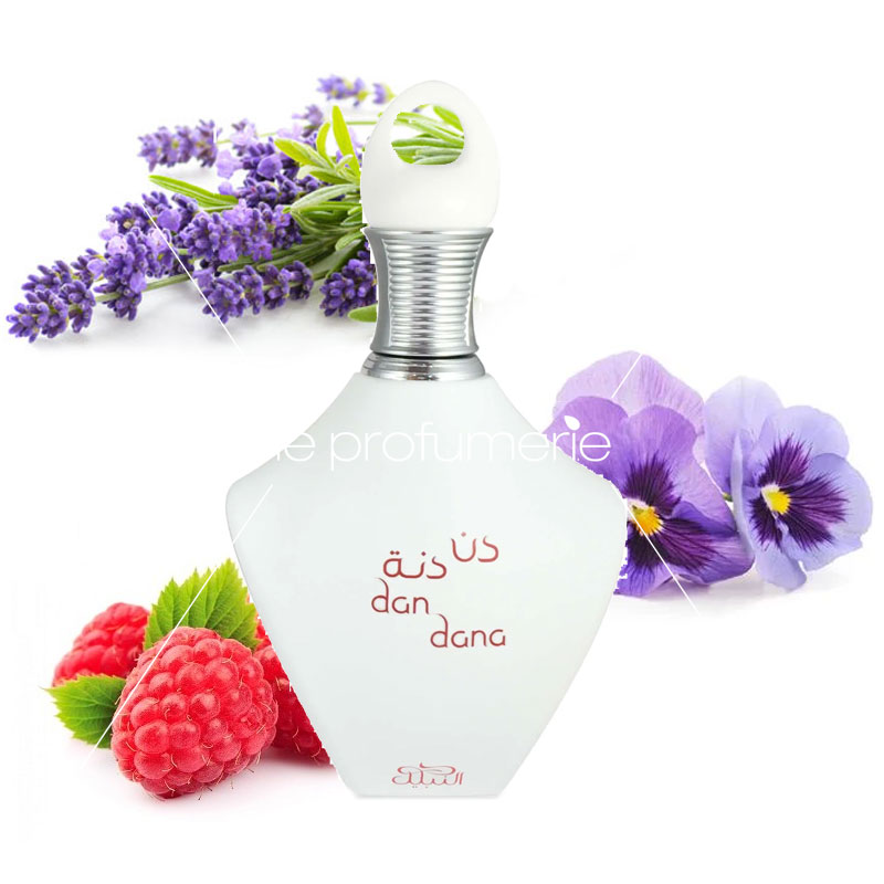 NABEEL DAN DANA edp donna 100ml - immagine 2