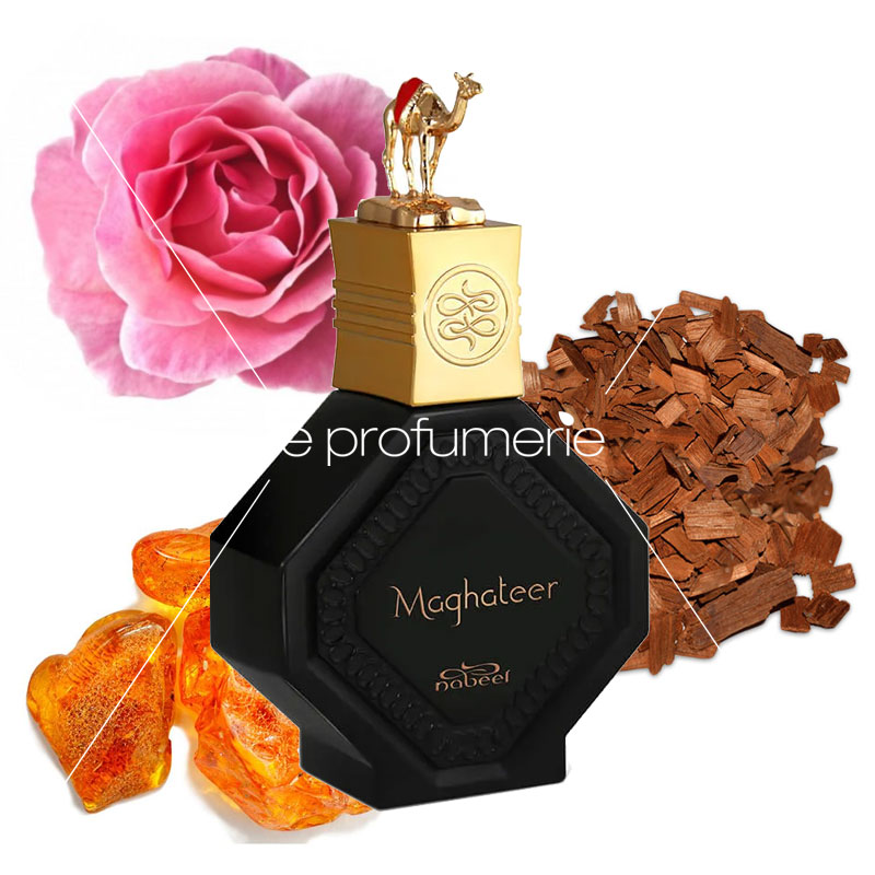 NABEEL MAGHATEER edp unisex 100ml - immagine 2