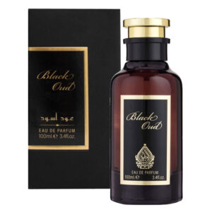 HOUSE OF PERFUMES BLACK OUD edp uomo 100ml