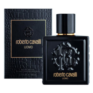 ROBERTO CAVALLI UOMO edt uomo 100ml