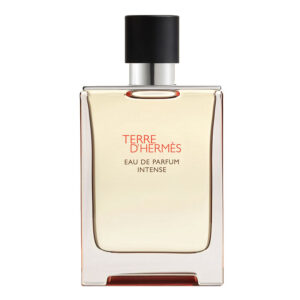 "TESTER" TERRE D'HERMÈS edp intense uomo 100ml