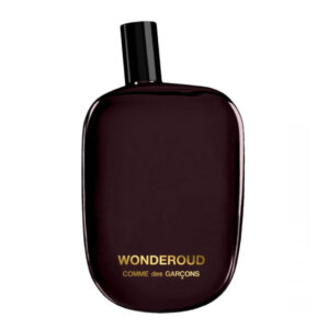 "TESTER" COMME DES GARCONS WONDEROUD edp unisex 100ml